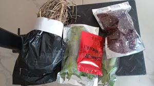 Fertility Reproductive Herbs
