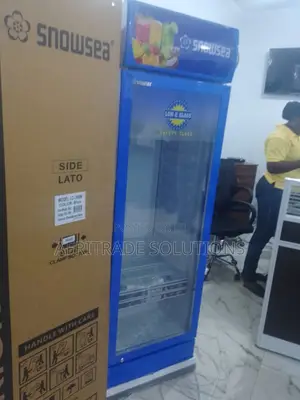 Upright Single Door 300litres Snowwsea Chiller