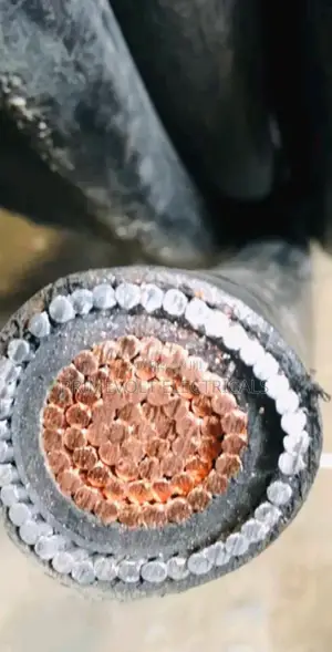 Armoured Cable 500mm With Armoured