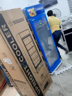 Durable Snowsea 300liters Chillers