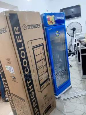 Fast Selling Snowsea Chiller