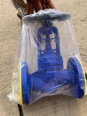 Dn40 Cast Iron Valve