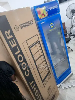 Cooling Snowsea Chiller 300liters