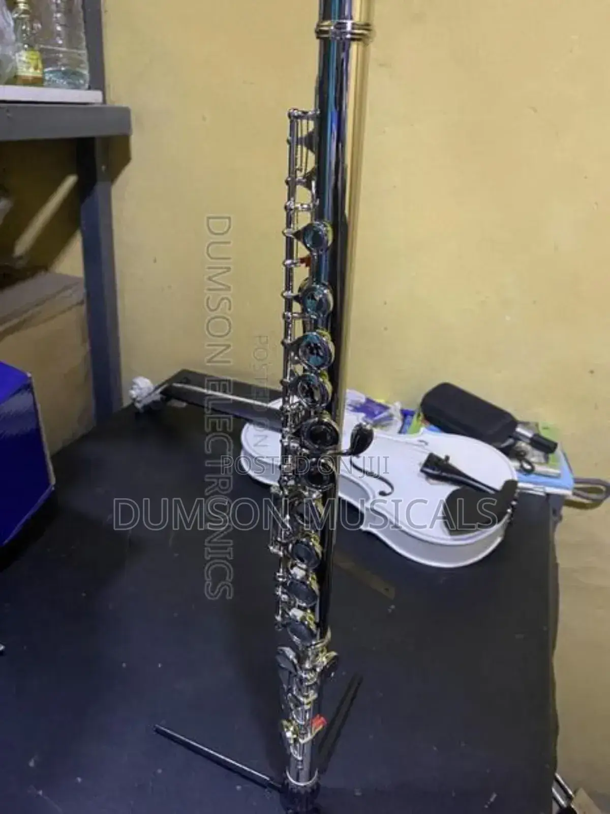 Professional Silver Flute