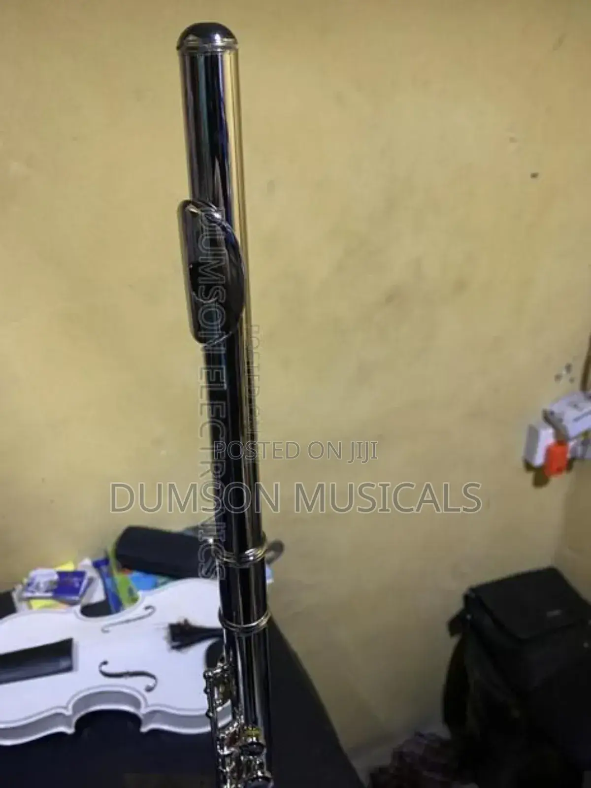 Professional Silver Flute