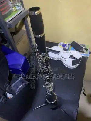 Professional Clarinet