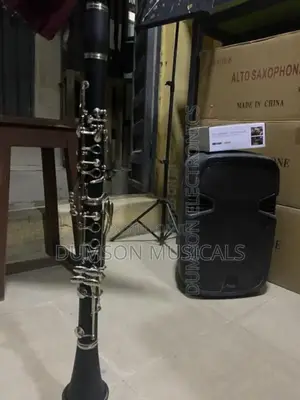Professional Clarinet