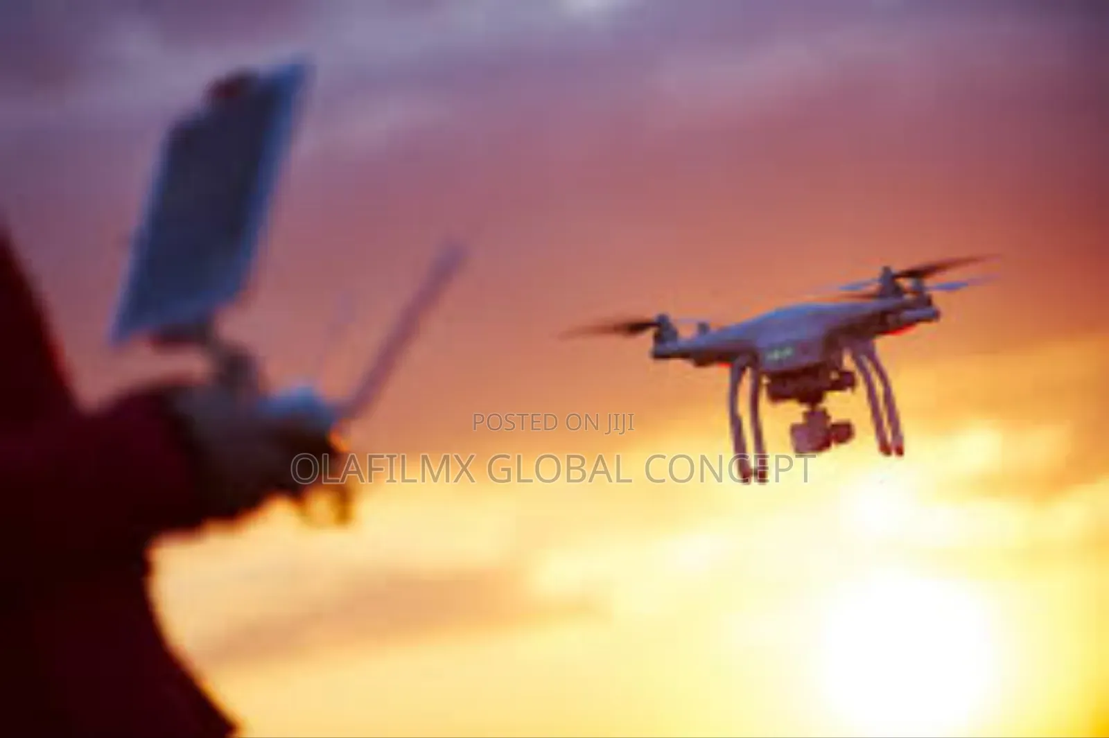Drone Piloting