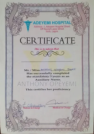 Auxiliary Nurse