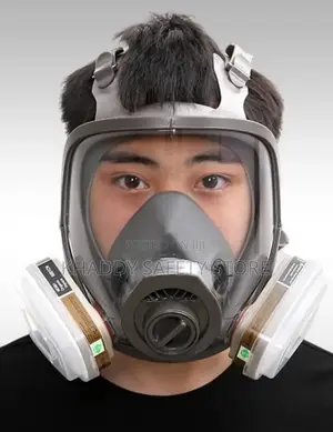 Full Facemask With Cartridge