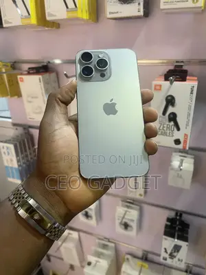 Apple iPhone 15 Pro Max 256 GB Gray