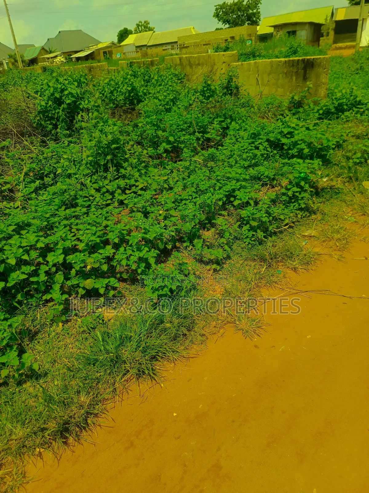 Acres of Land at Odeda