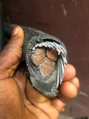 120 Mm 3 Core Flexible Armored Cable