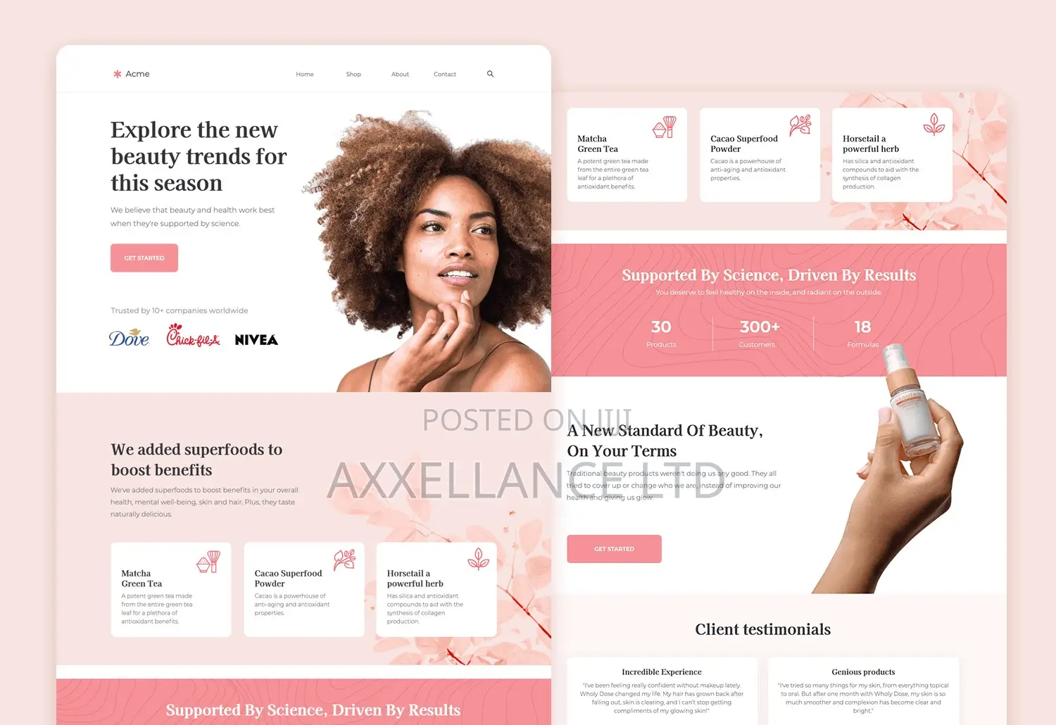 Website Development