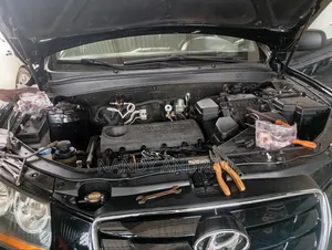 4 Plug CNG Sequential Injector CNG Conversion