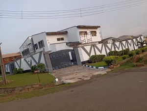 Luxury House Screeder and Painters