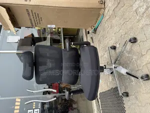 Ergonomic Mesh Swivel Chair 555a