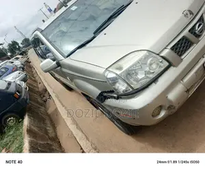 Nissan X-Trail 2006 Gray