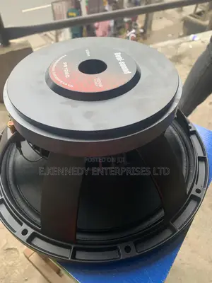 Big Magnet Professional 12” Inches Naked Speaker (75 Coil)