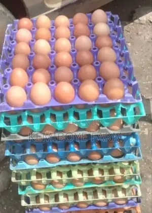 Kemiboye Farm