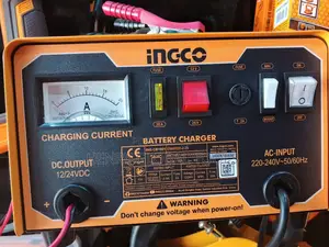 Ingco Battery Charger