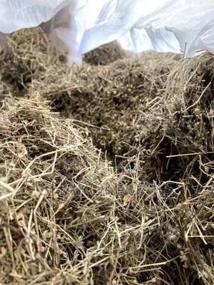 Eyebright Leaf 1kg