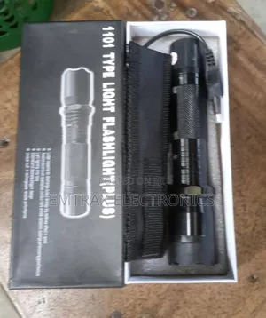 Stun Gun Flashlight Type