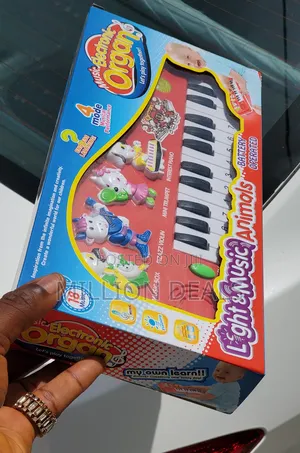 Unique Music Keyboard Kids Toy Ages 3+