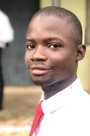 Mr Abioye Victor