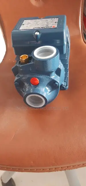 Pedrollo Surface Pump