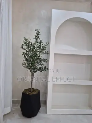 Artificial Olive Tree (180) With Matte Coral Pot ( Black)