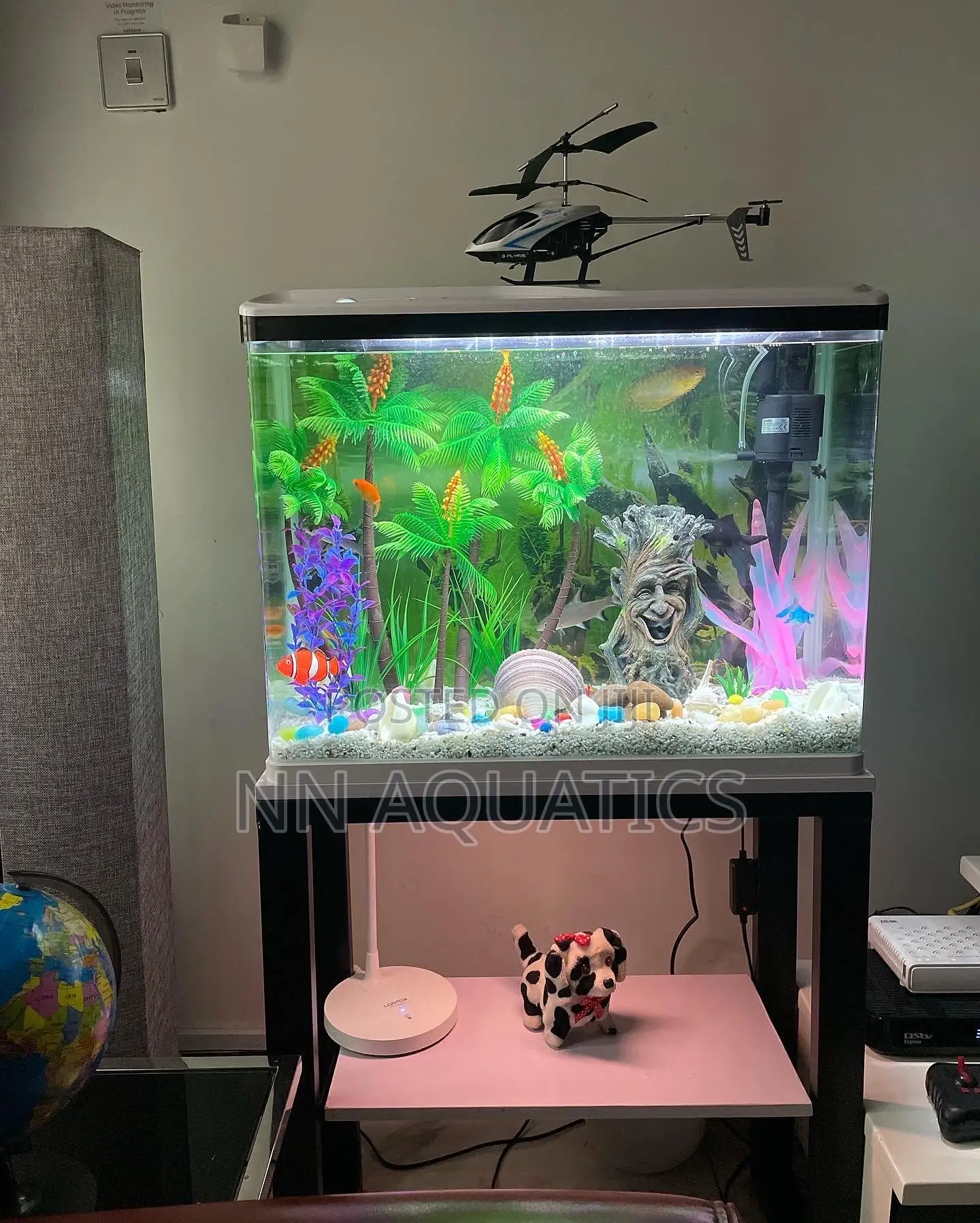 Imported Tank With Stand