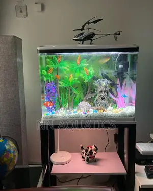Imported Tank With Stand