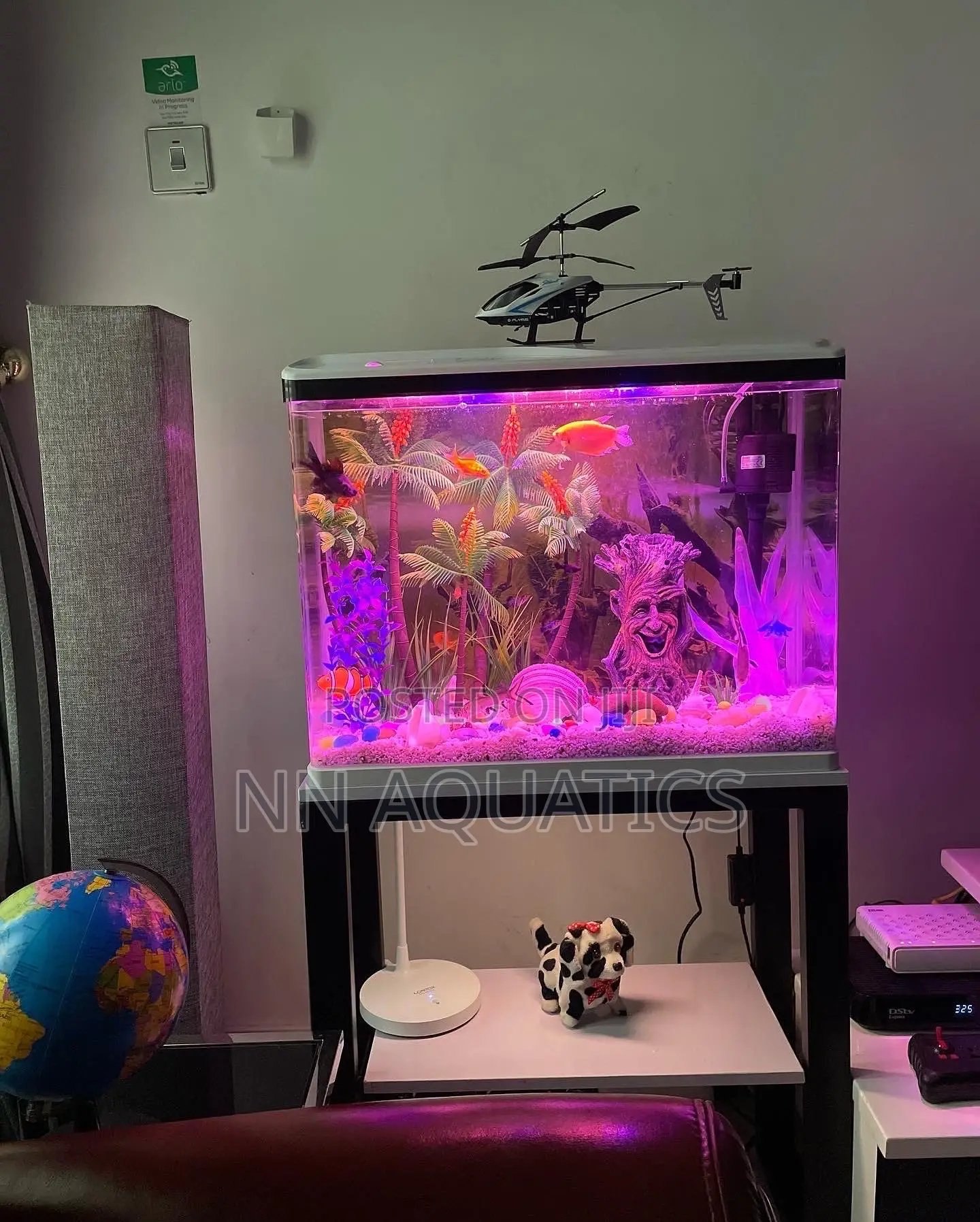 Imported Tank With Stand