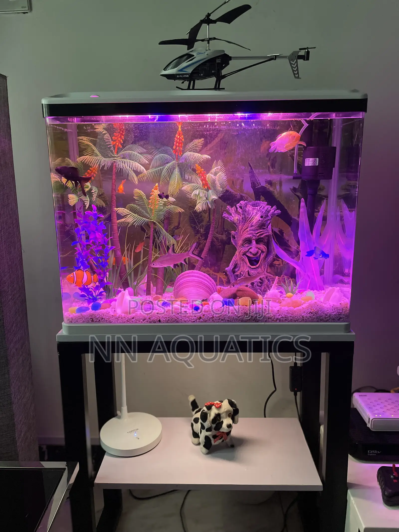 Imported Tank With Stand