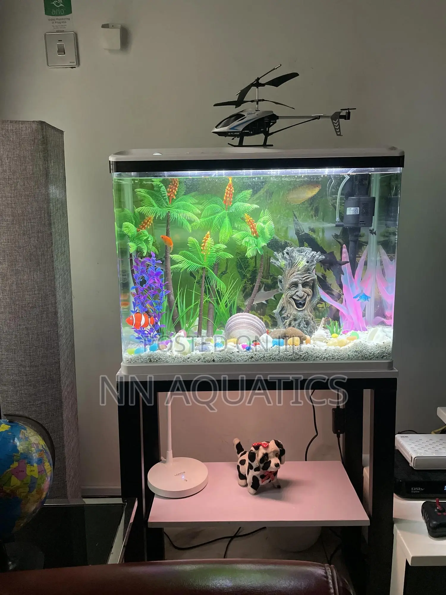 Imported Tank With Stand