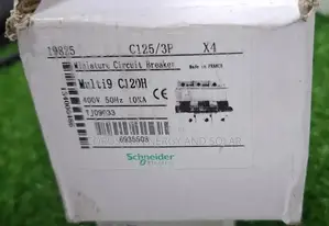 125a MCB 3pole Ac Schneider Breaker