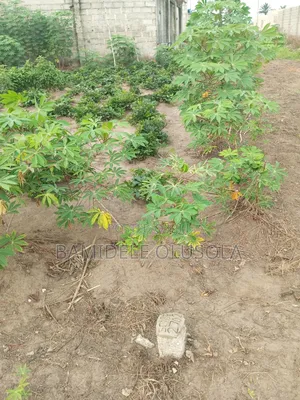 A Plot of Land for Sale
