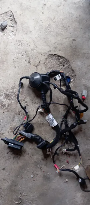 Complete Door Wire Lh