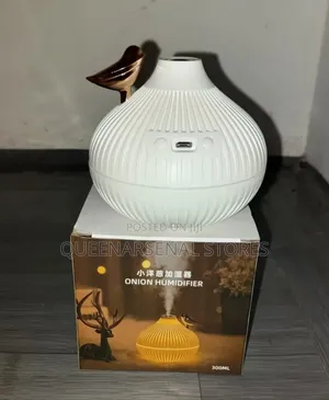 300ml Onion Shape Humidifier