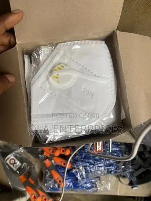Safety Dust Mask