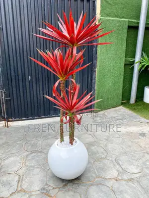 Flower for Home and Office and Hotel