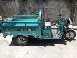 New Tricycle 2025 Gray