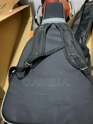Dice Padded Lead Guitar Bag