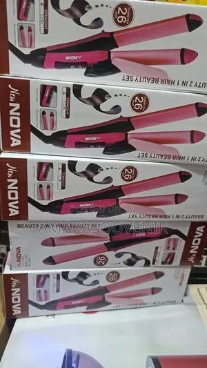 2in 1 Hair Dryer
