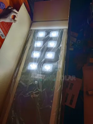 This Is Sprinting 800w Flood Light