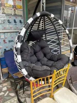 High Quality and Zebra Color Swing Chairs