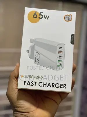 Multiport Fast Charger