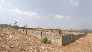Certificate of Occupancy