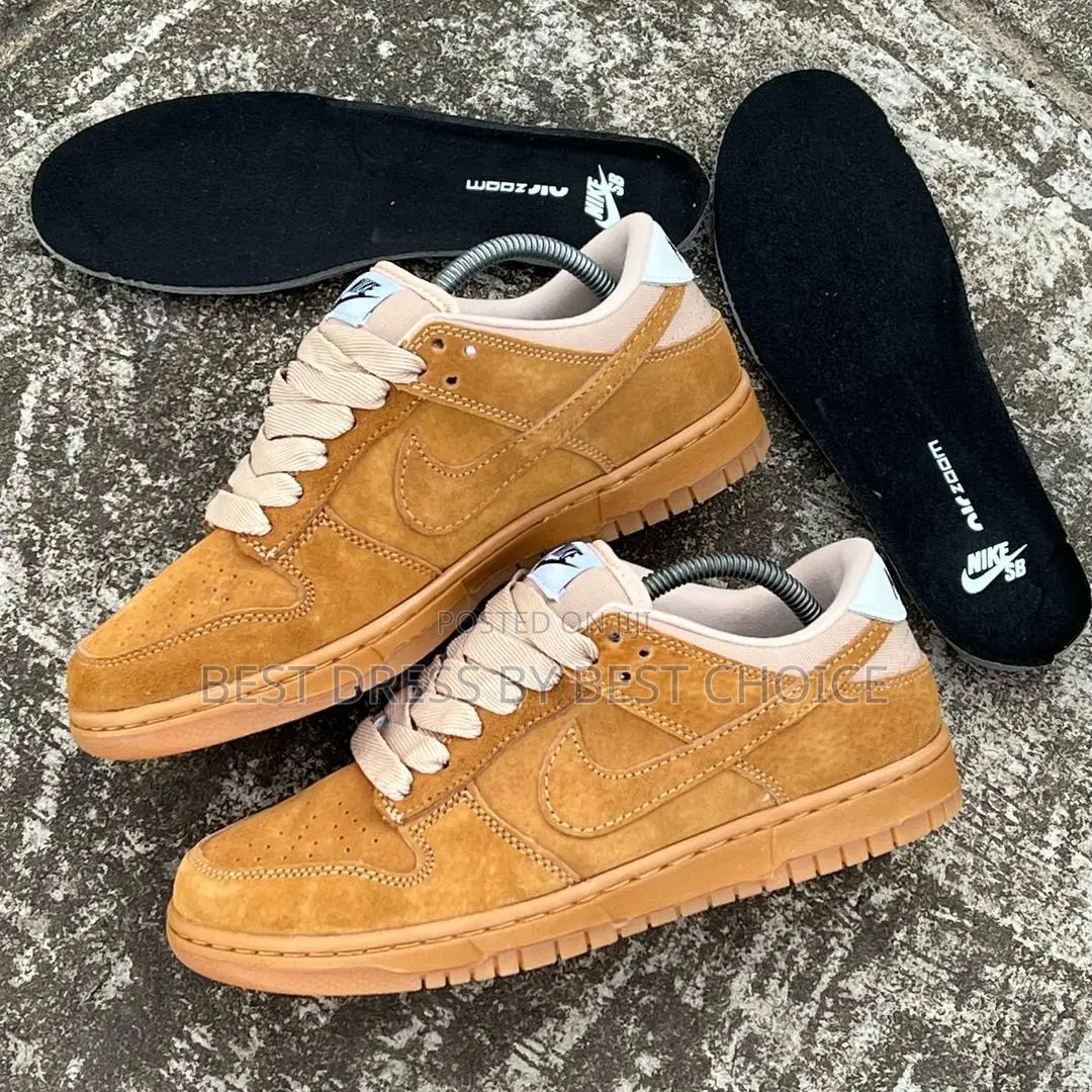 Nike Sb Dunk Brown